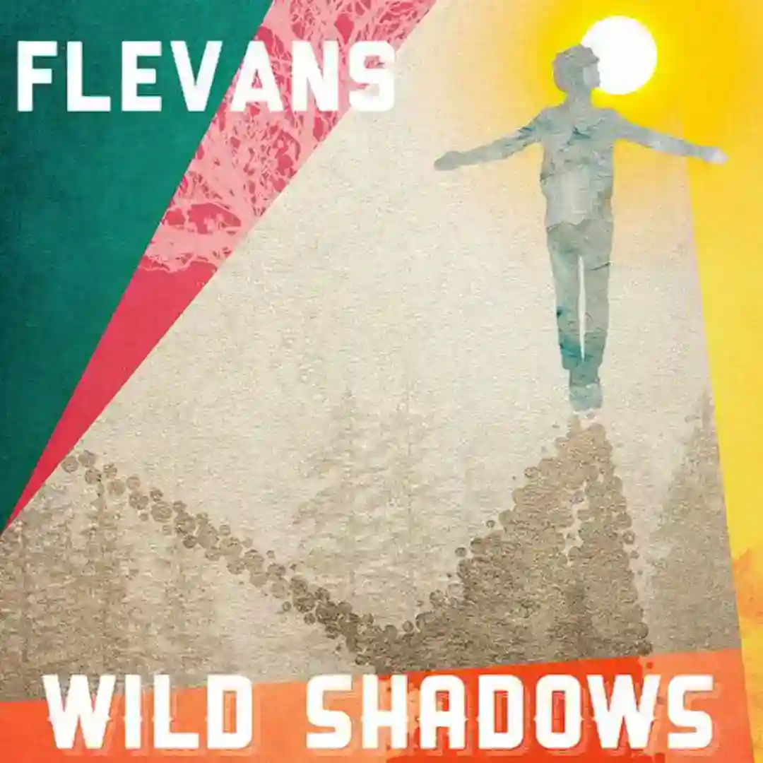 Wild Shadows cover