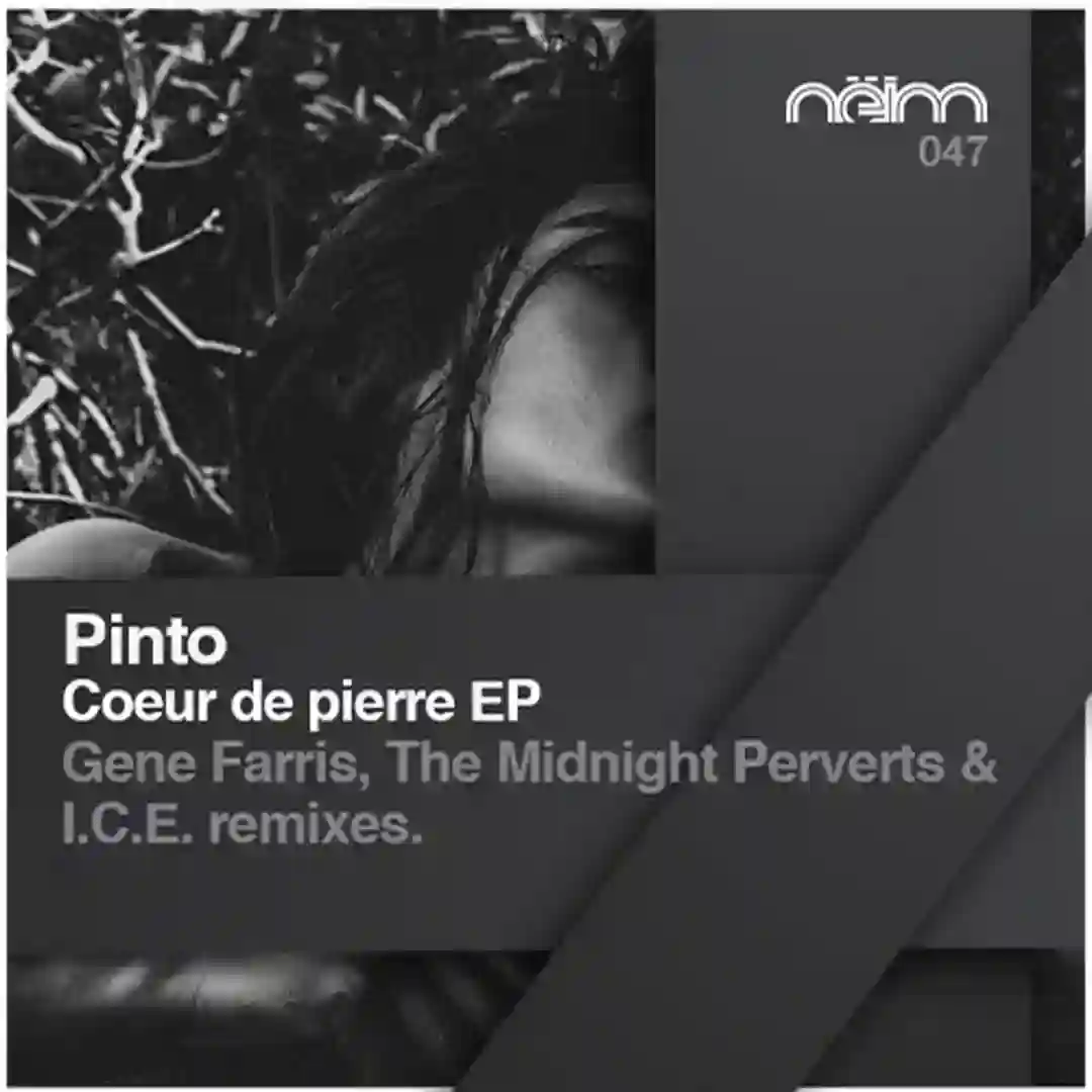 Coeur De Pierre (The Midnight Perverts Eremita Mix) cover