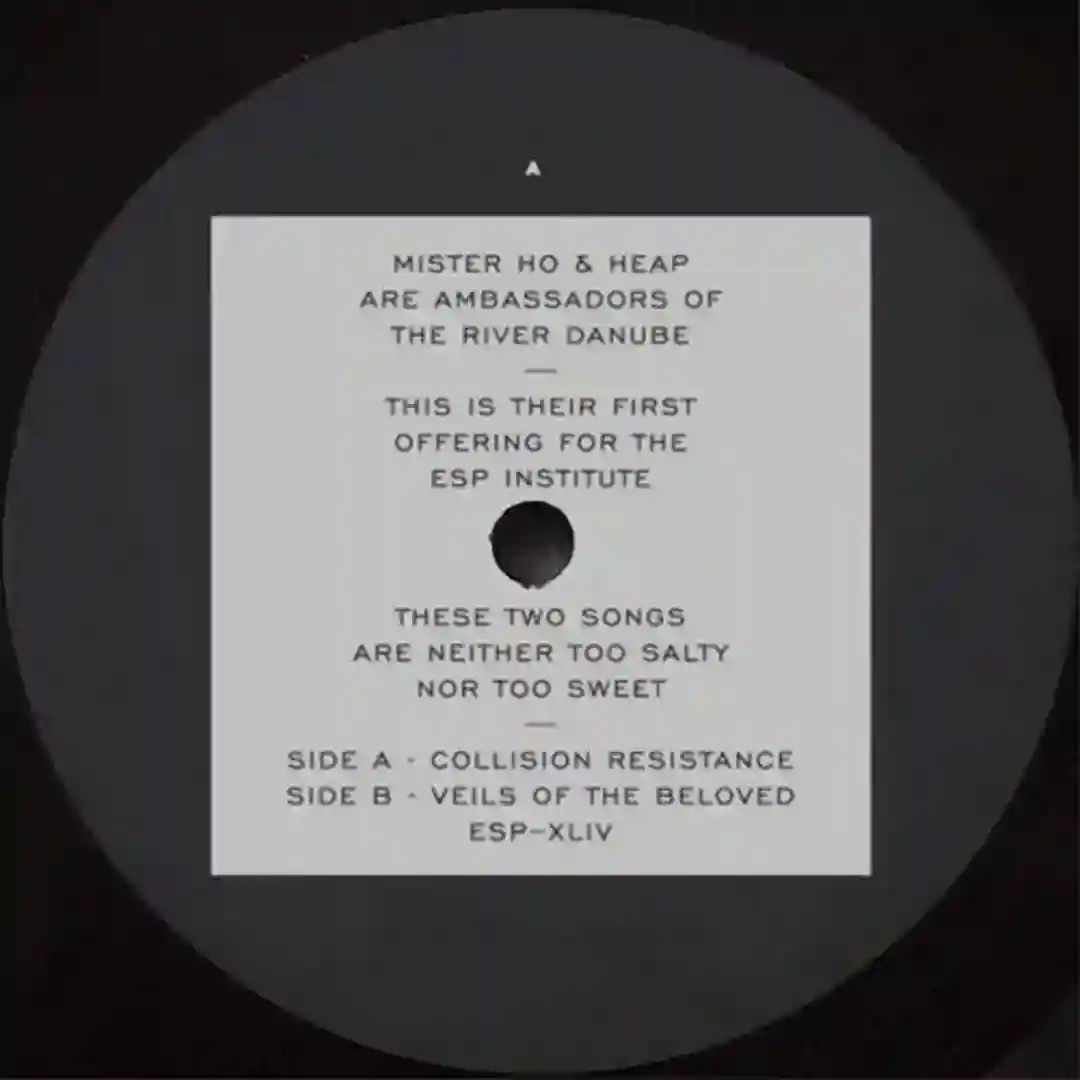 Collision Resistance b/w Veils Of The Beloved cover