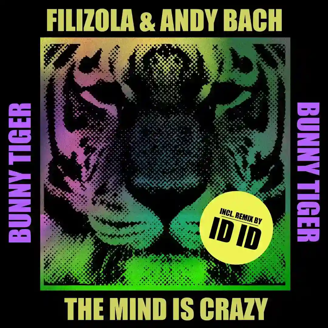 The Mind Is Crazy cover