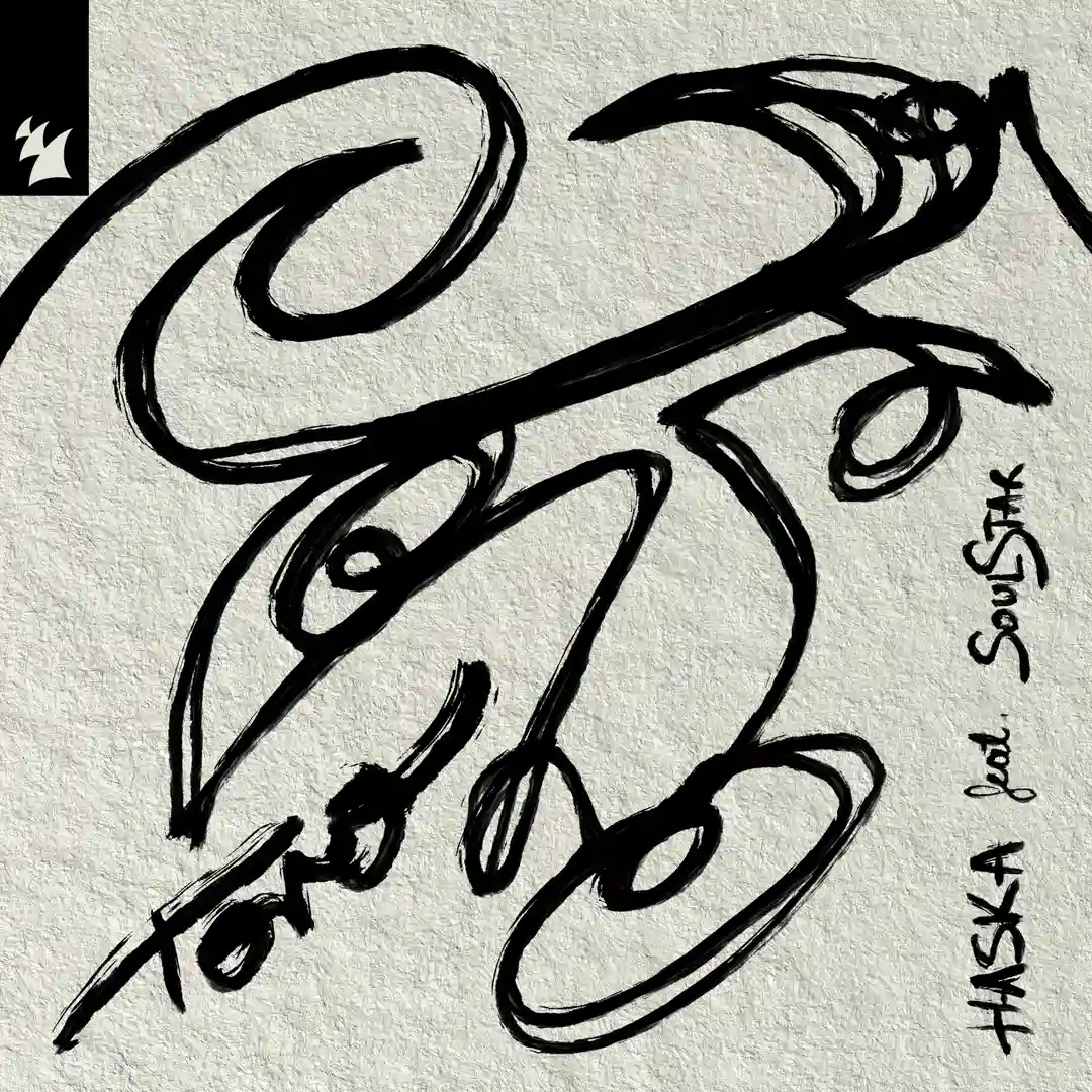 Toro cover