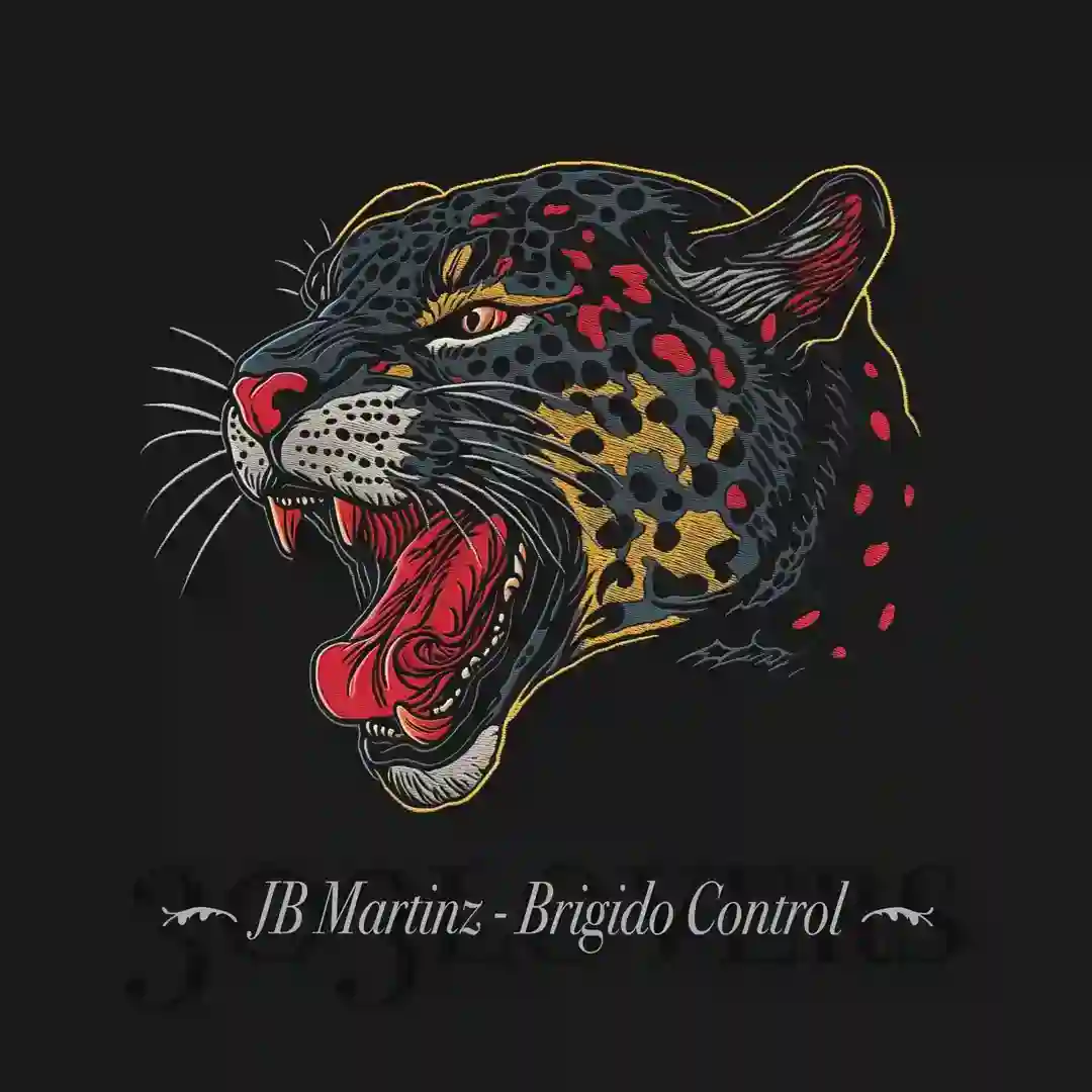 Brigido Control (Extended Mix) cover