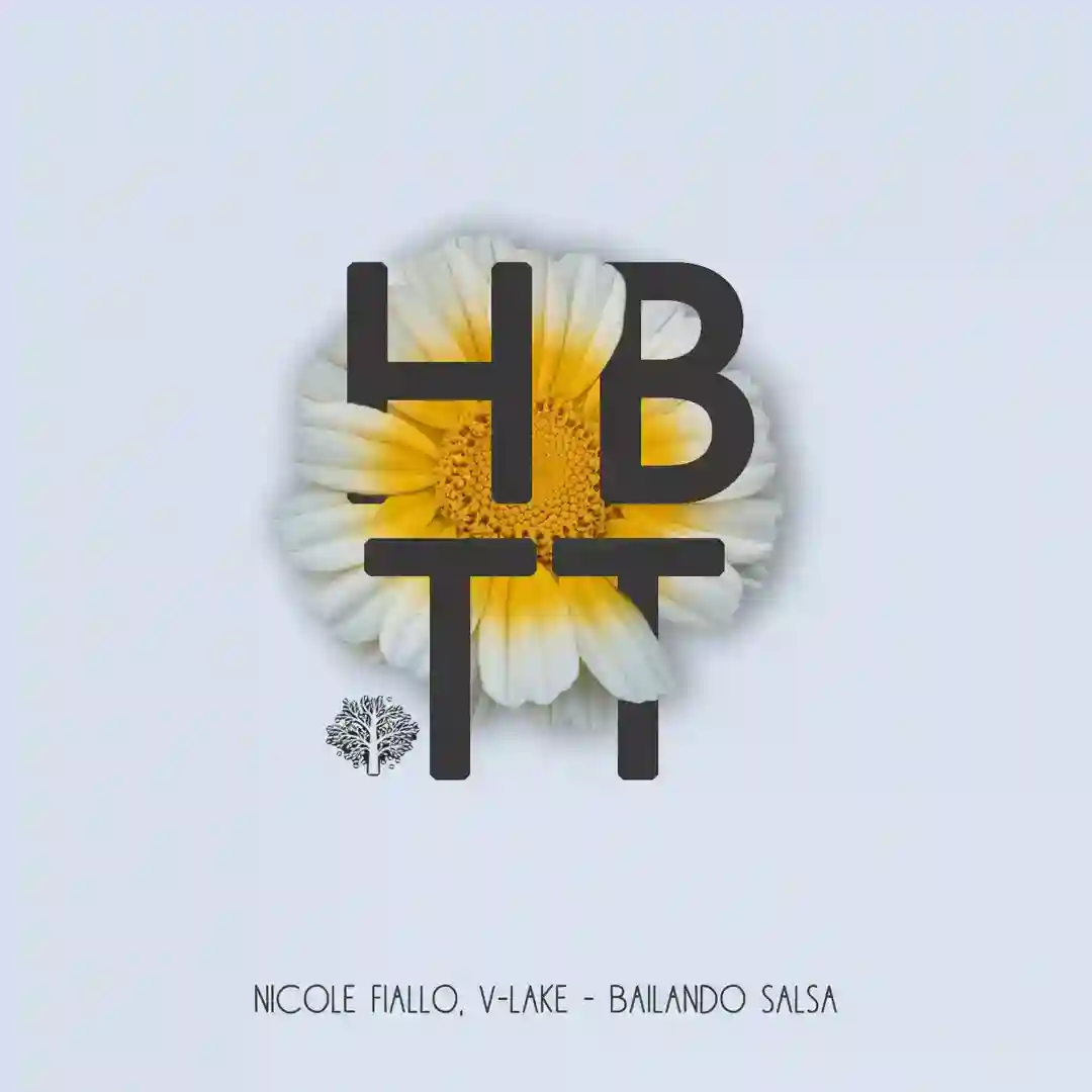 Bailando Salsa (Original Mix) cover