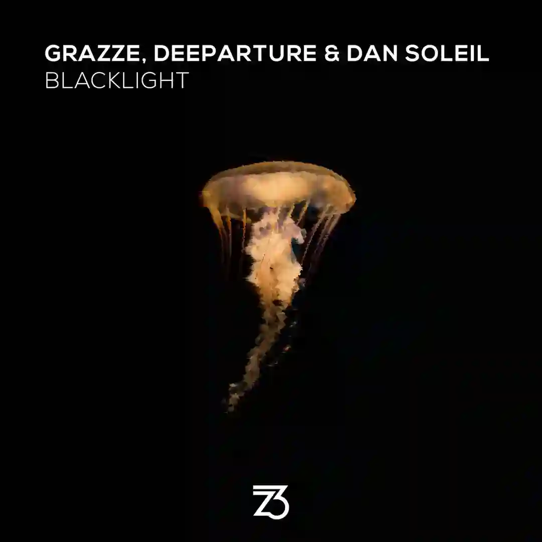 Blacklight (Extended Mix) cover
