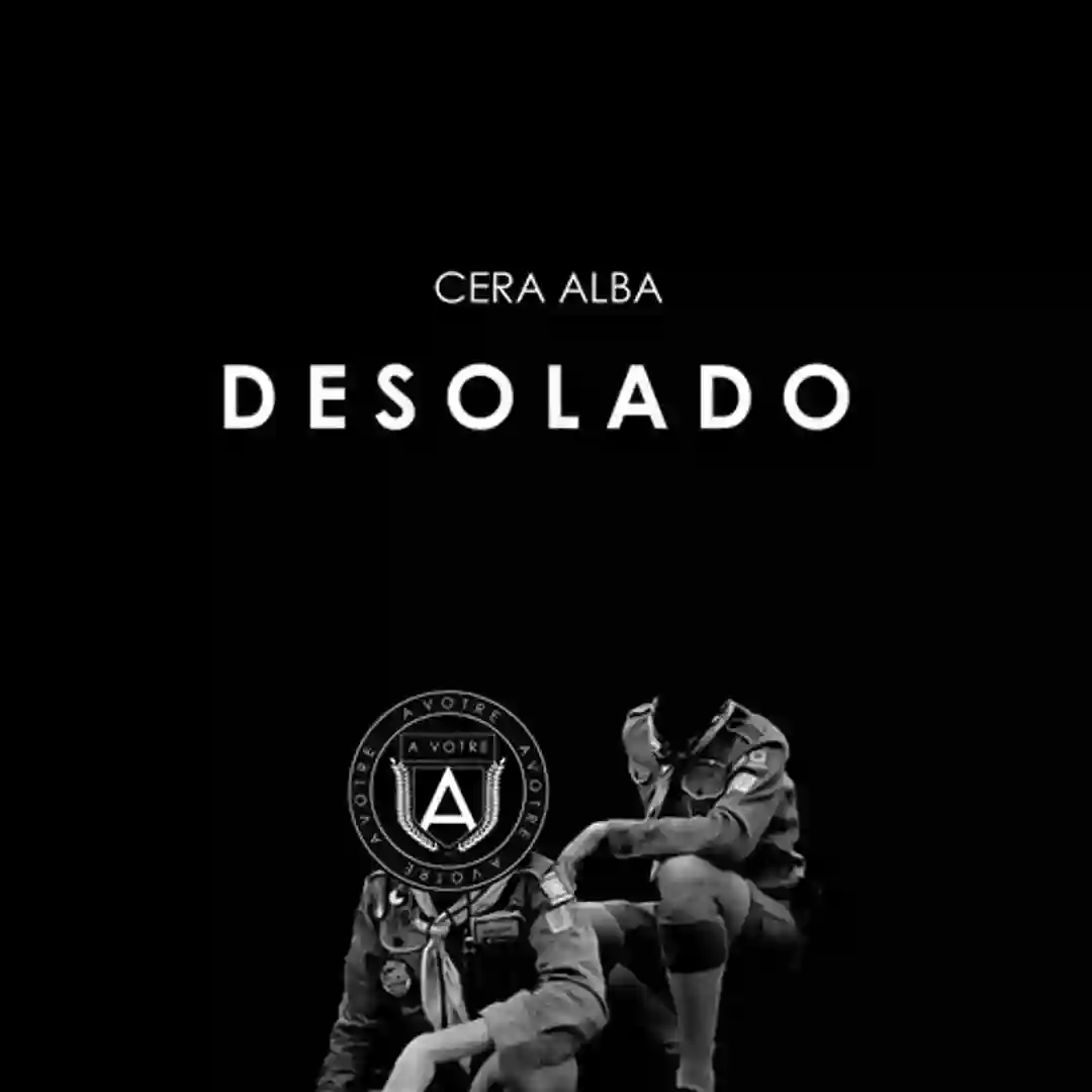 Desolado cover