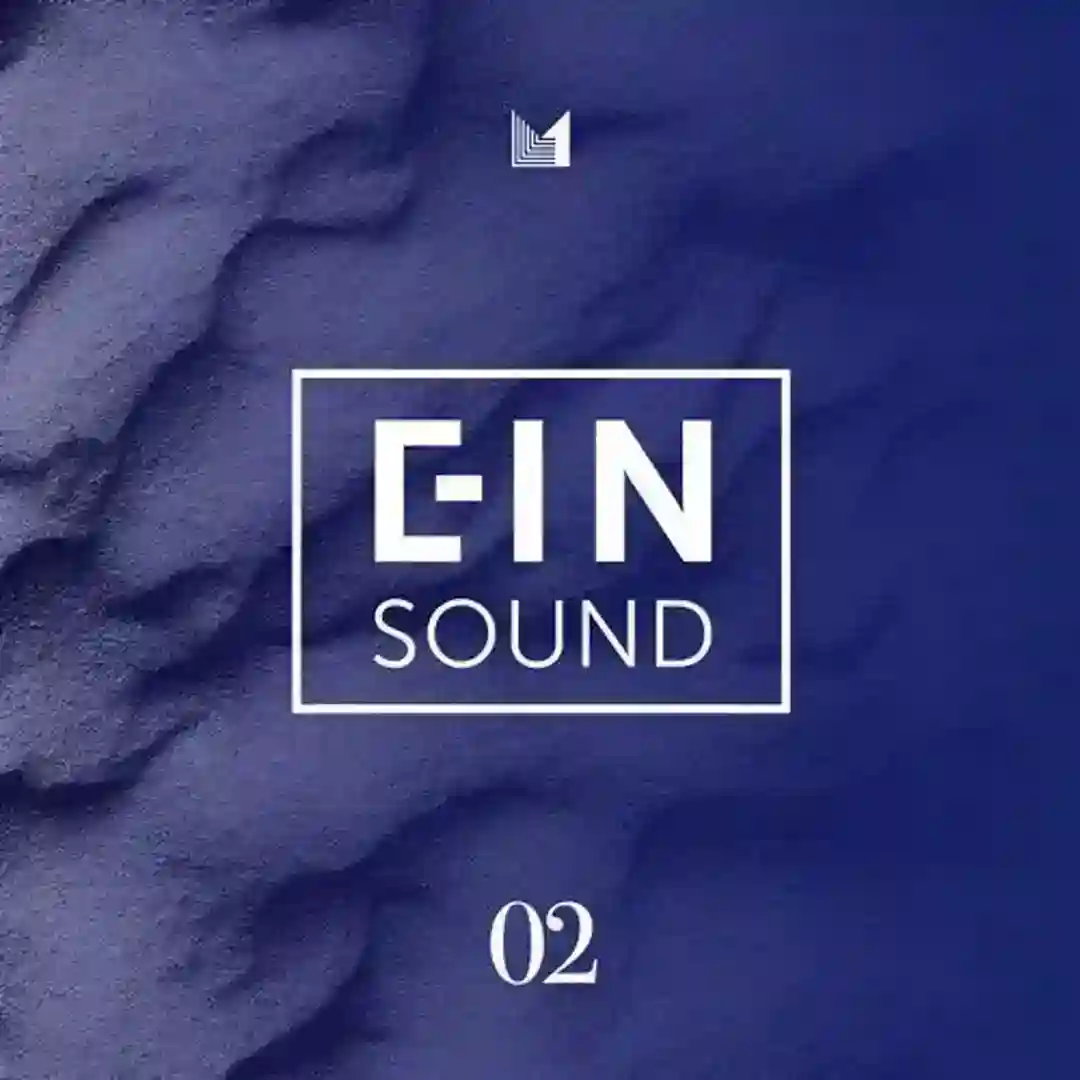 Disguise (Original Mix) cover