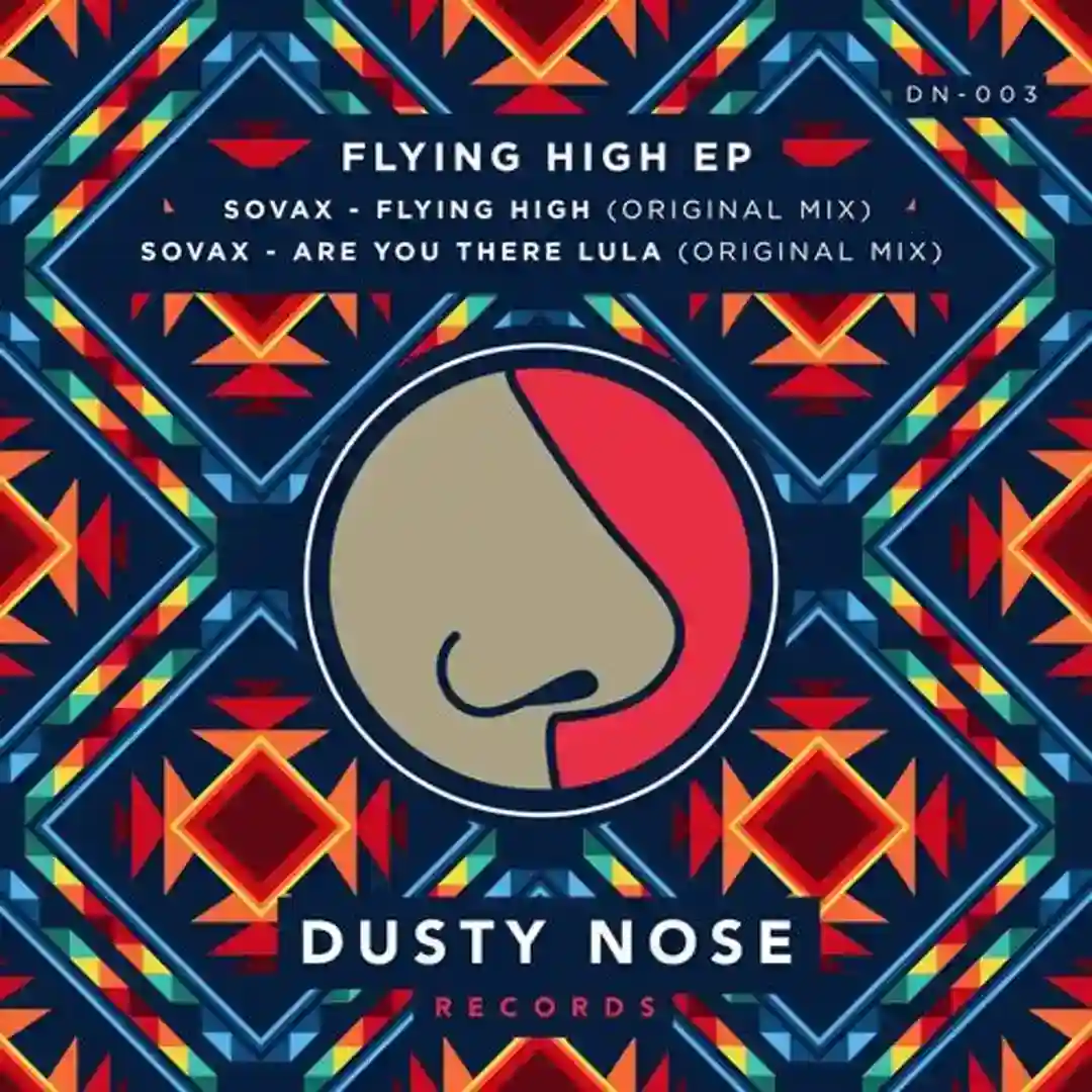 Flying High cover