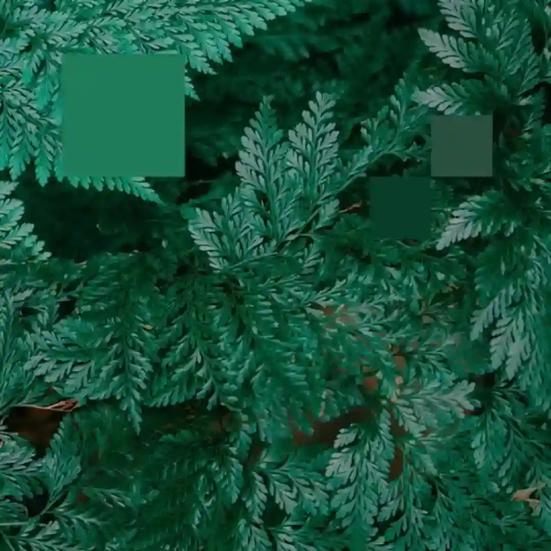 Metaphor to the Floor EP cover