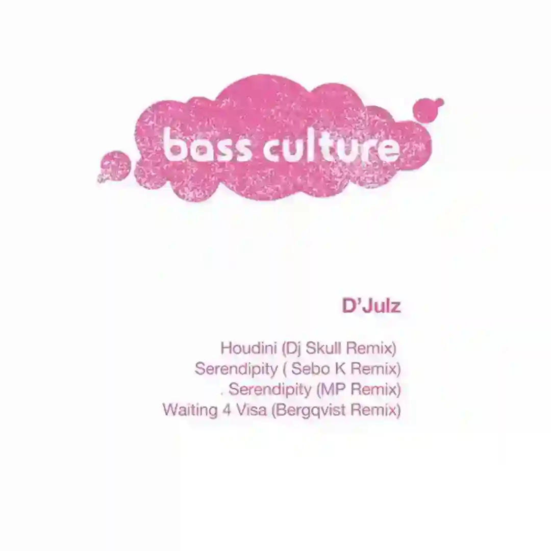 Waiting 4 Visa (Bergqvist Remix) cover