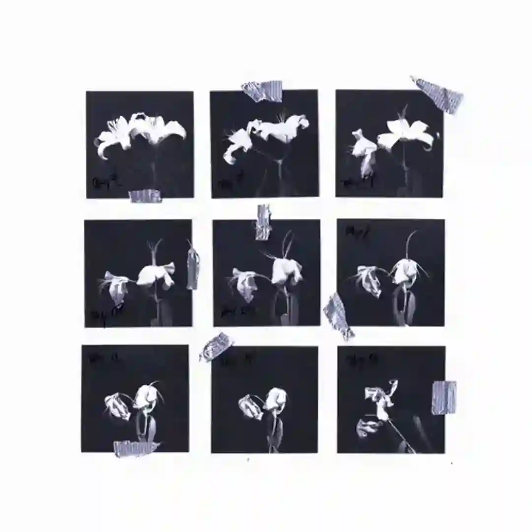 Host range (Original mix) cover