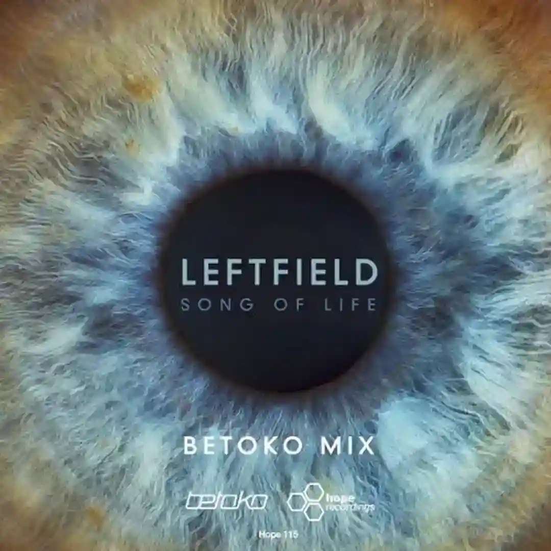 Song Of Life (Betoko Mix) cover