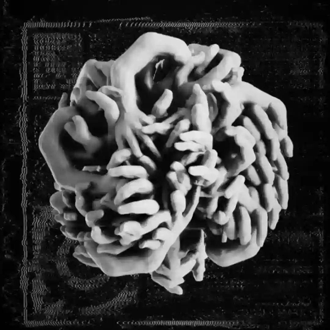 FCKTHNZS cover