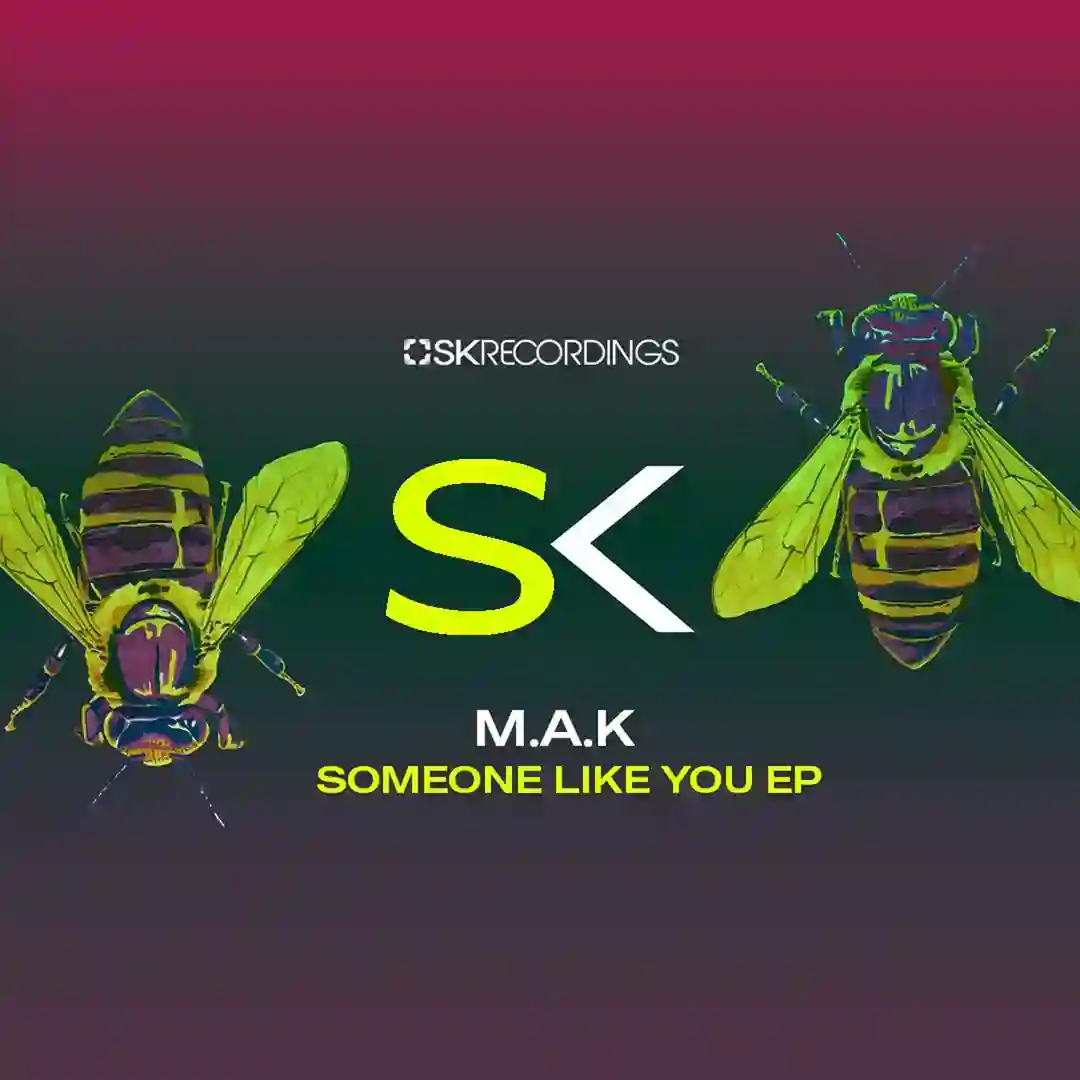 Need Someone Like You (Original Mix) cover