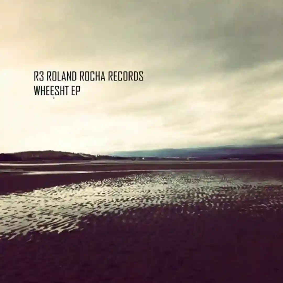 Wheesht The Remixes cover
