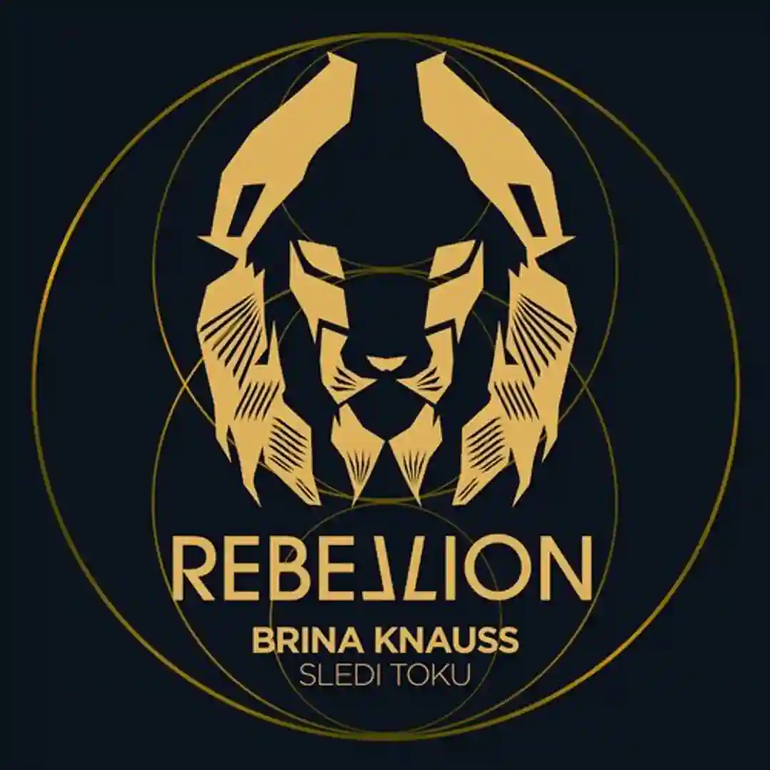 Sledi Toku (Original Mix) cover