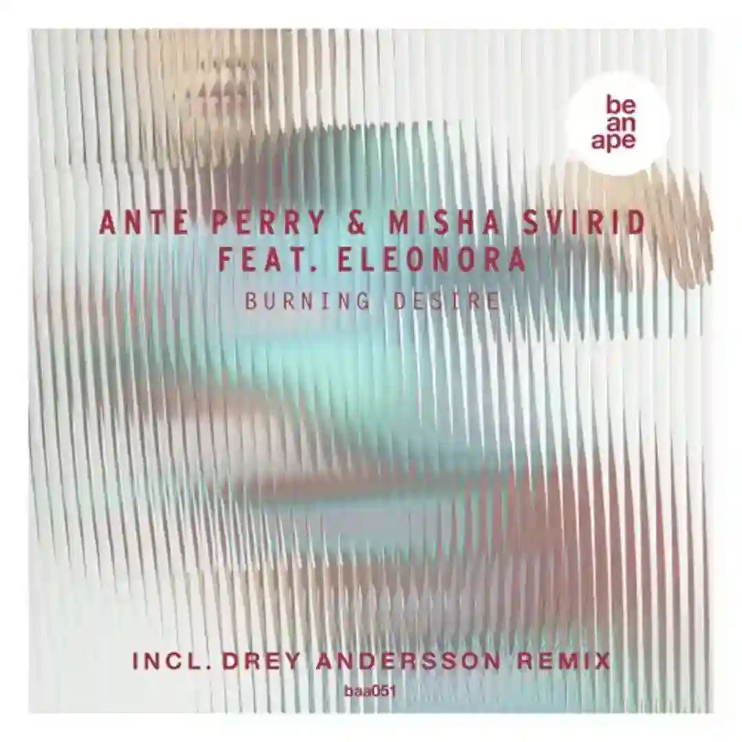 Burning Desire feat. Eleonora (Drey Andersson Remix) cover