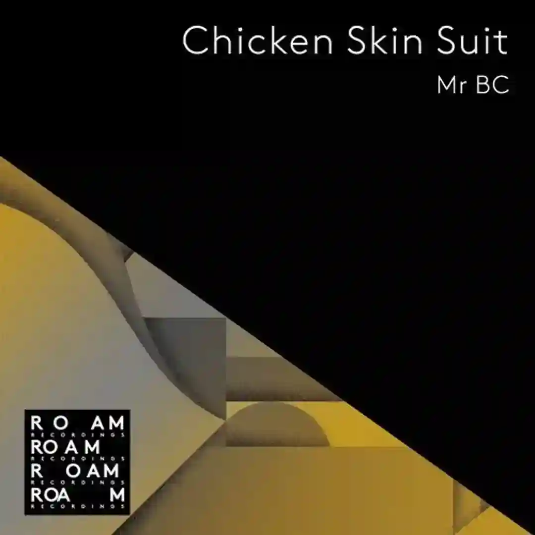 Evil Presidente's (Original Mix) cover