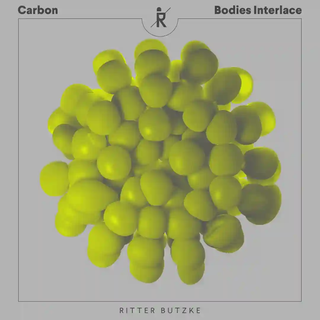 Bodies Interlace cover