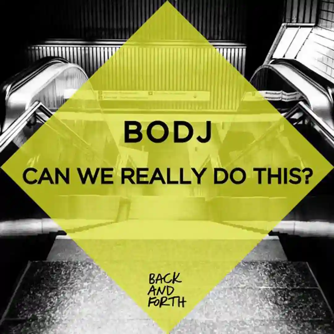 Can We Really Do This? cover