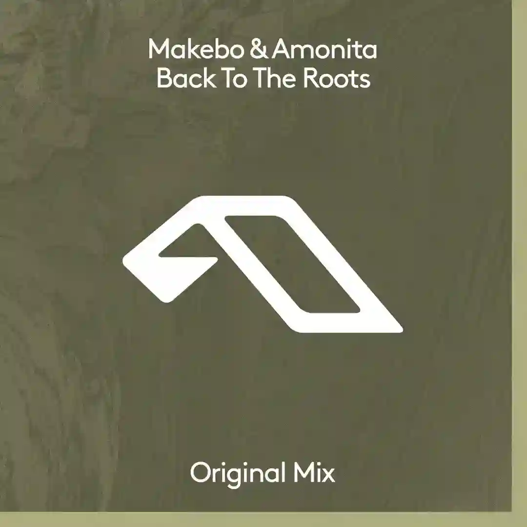 Back To The Roots cover
