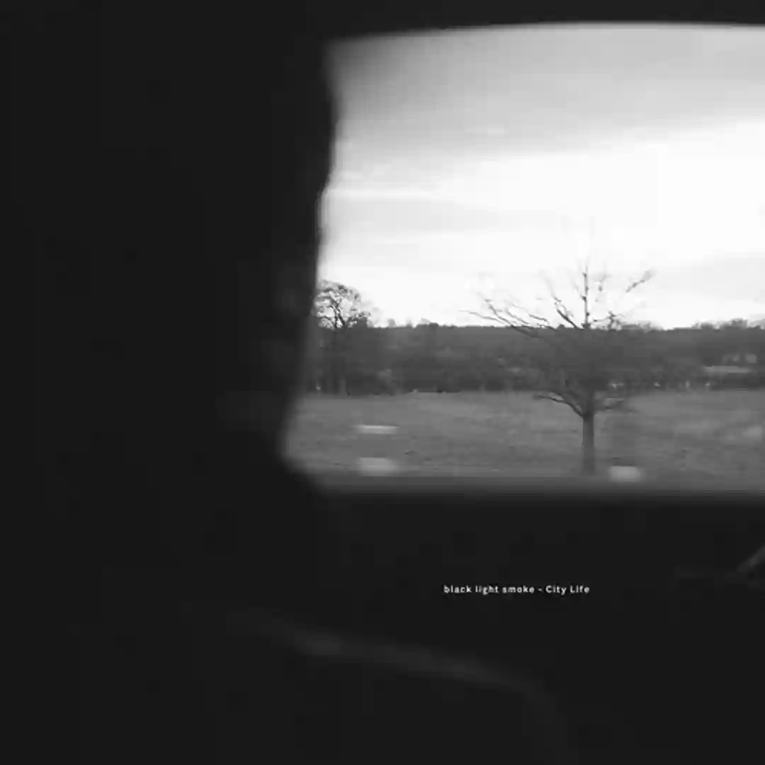 Without You (Original Mix) cover