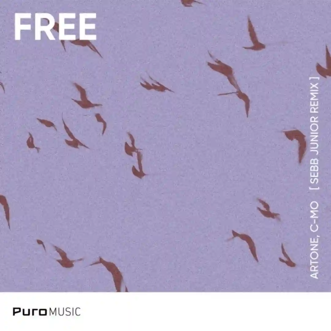 Free (Sebb Junior Remix) cover
