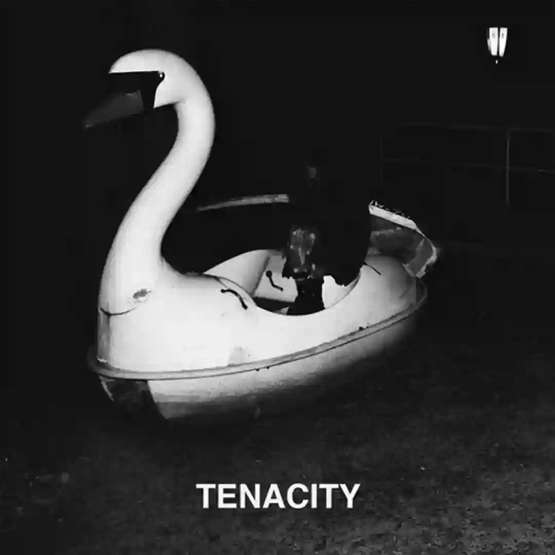 Octogonal Library (Original Mix) cover