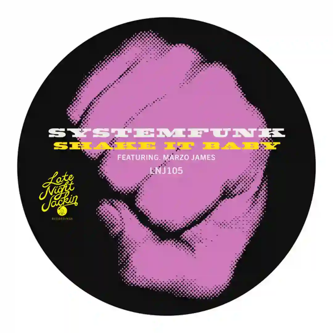 Shake It Baby (Instrumental Version) cover