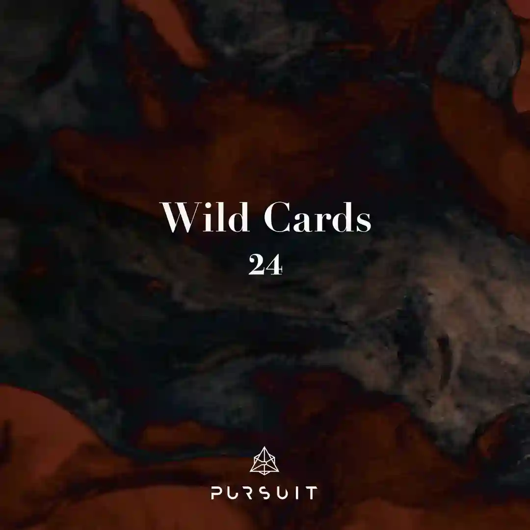 Wild Cards 24 - Extended cover