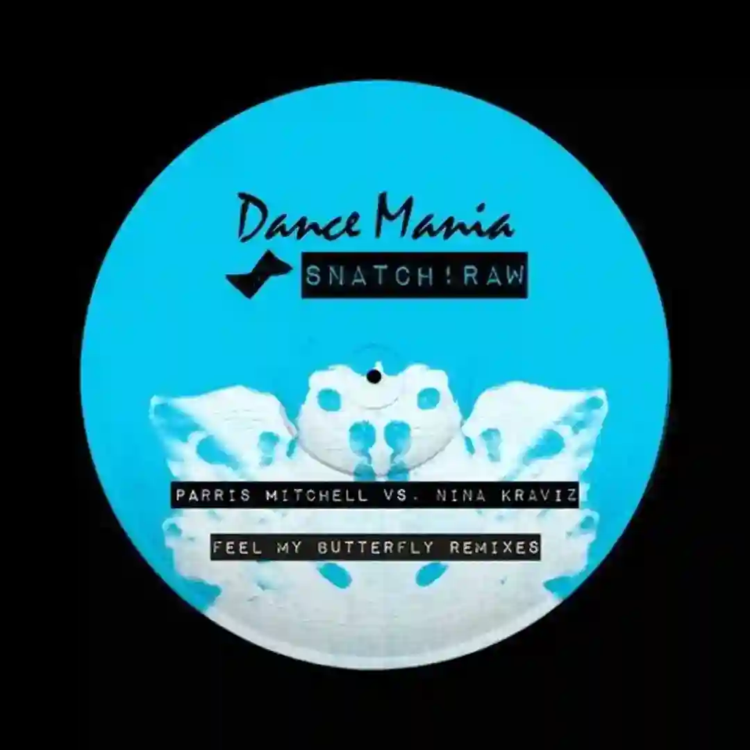 Feel My Butterfly (Dance System & DJ Deeon Remix) cover