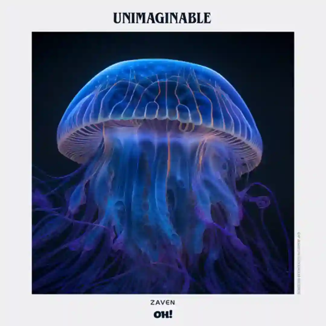 Unimaginable cover