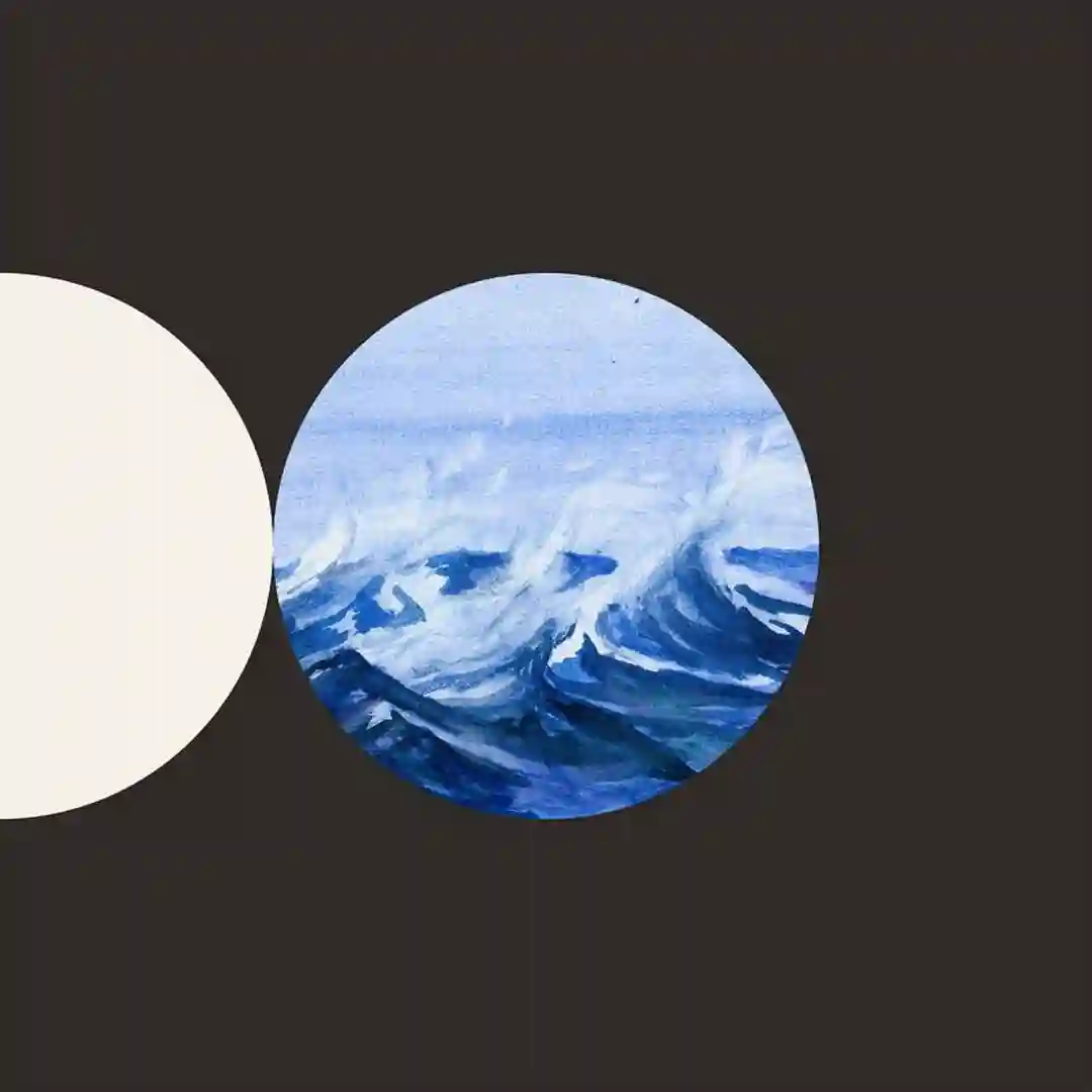 Vroche cover