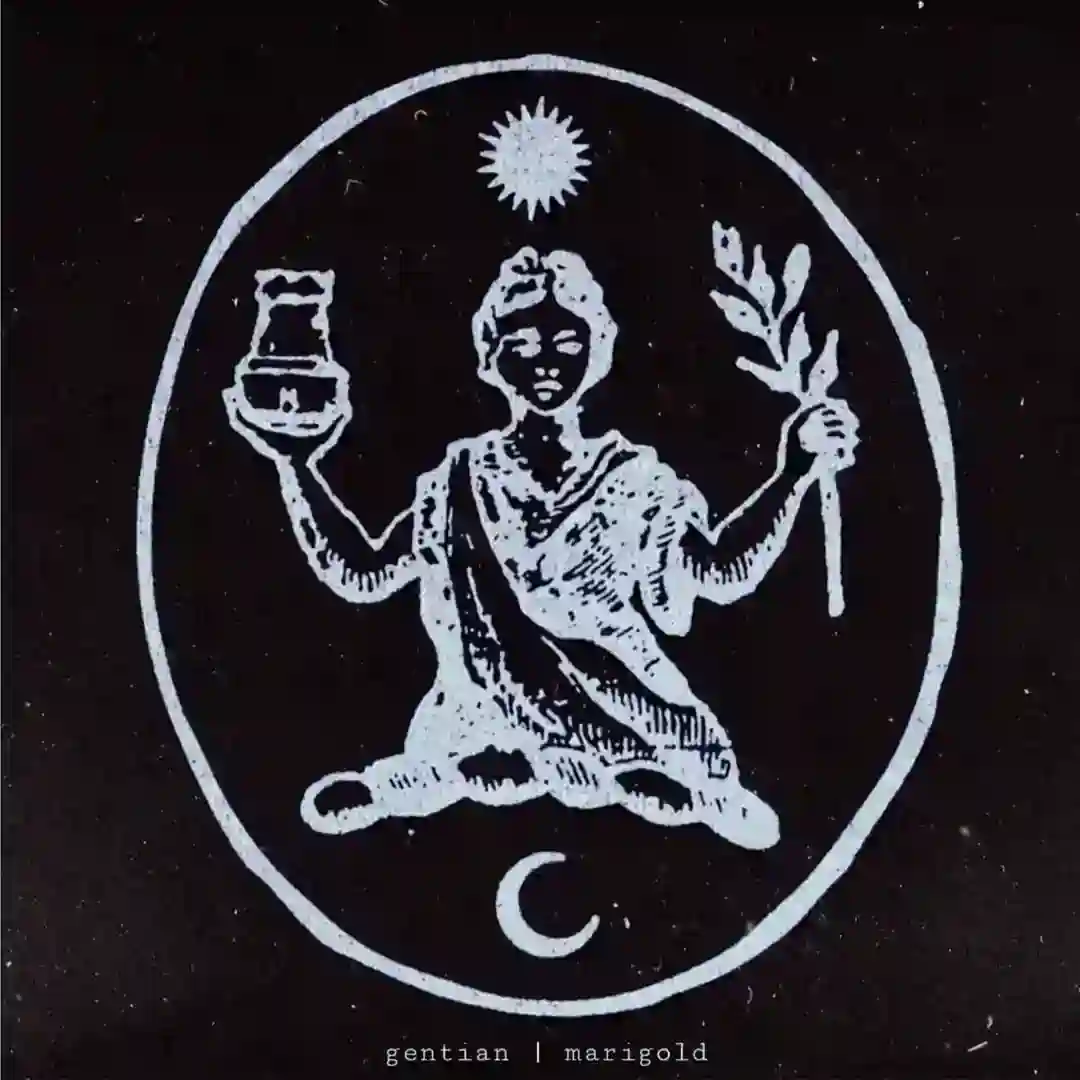 Marigold (Original Mix) cover