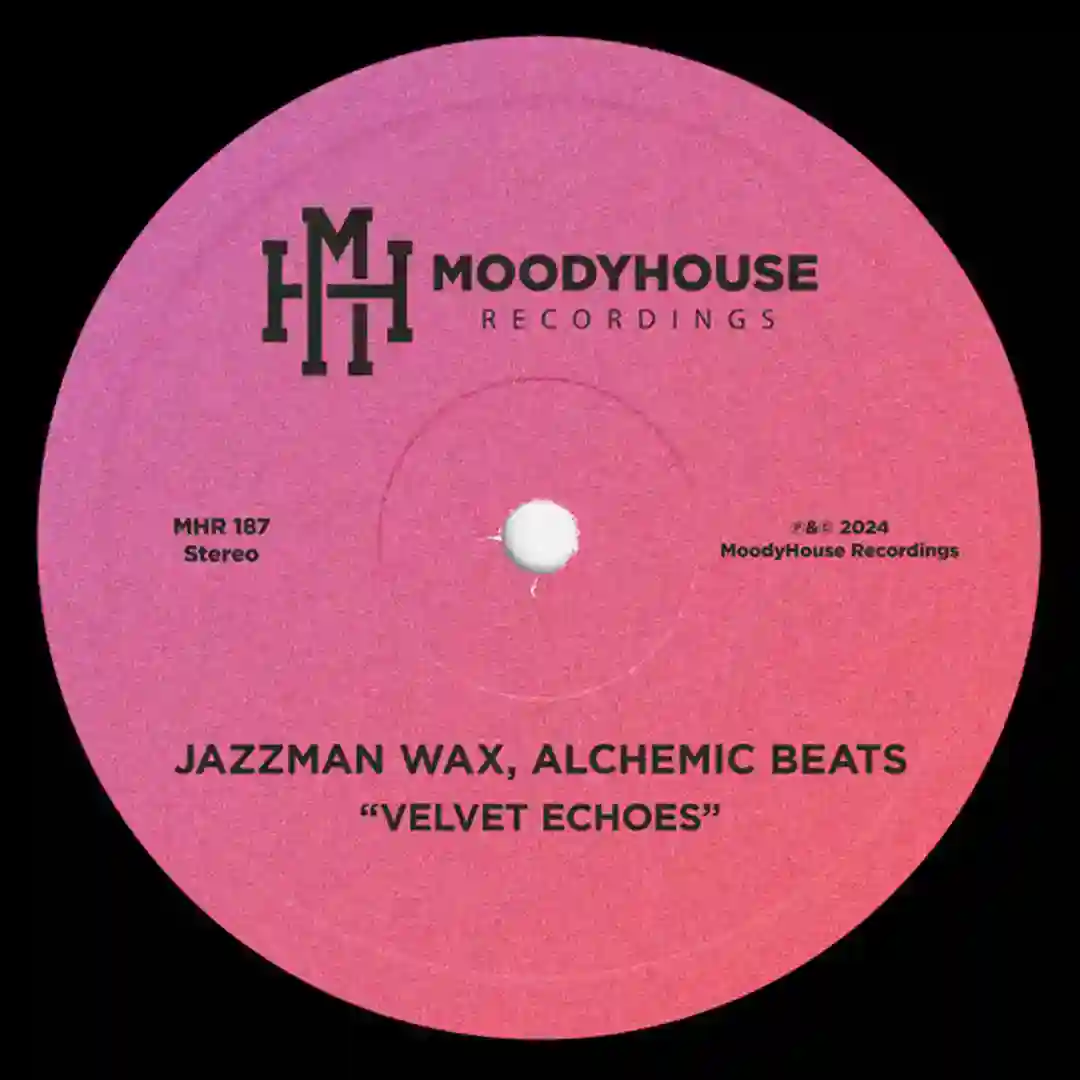 Velvet Echoes cover