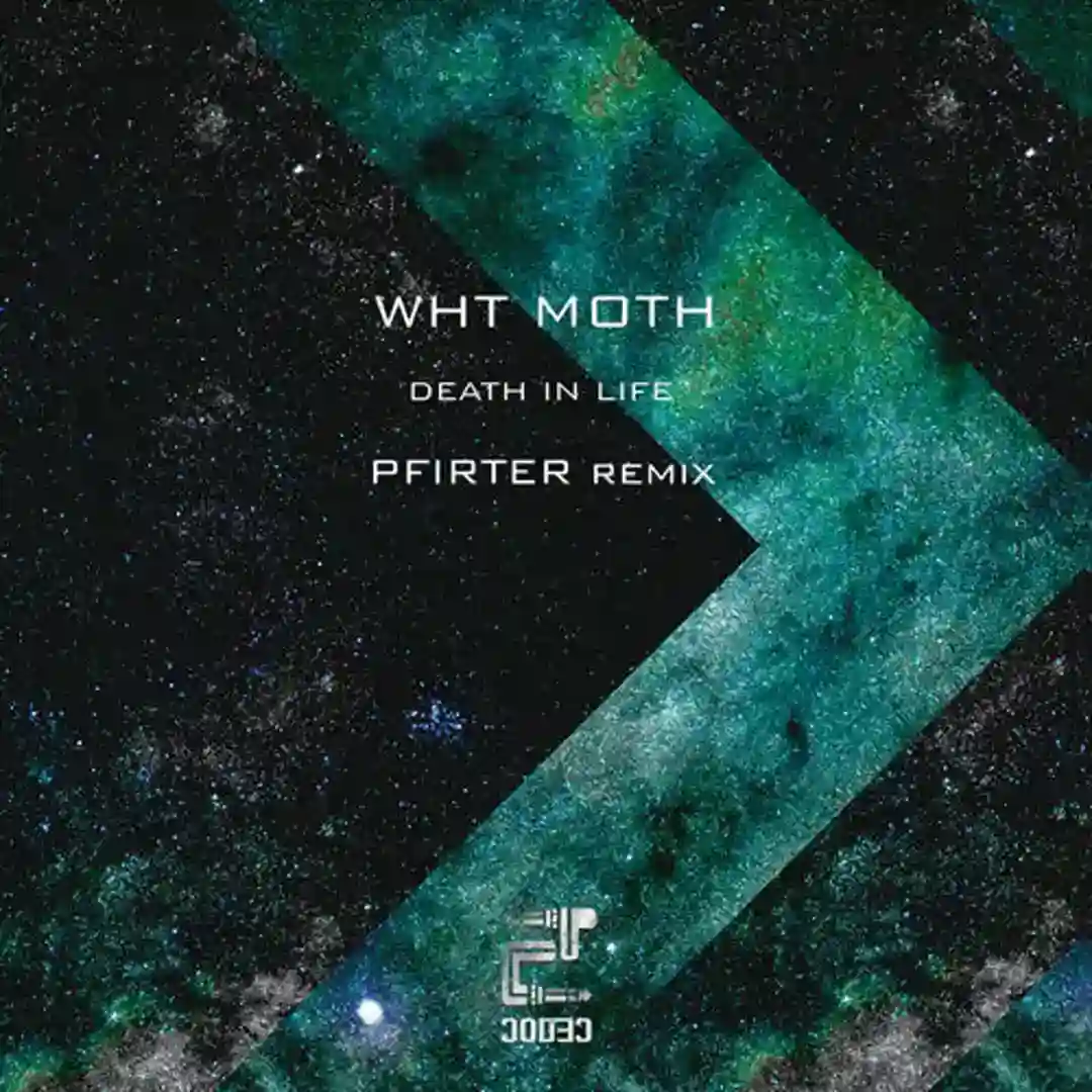 Reduced To The Bone (Pfirter Remix) cover