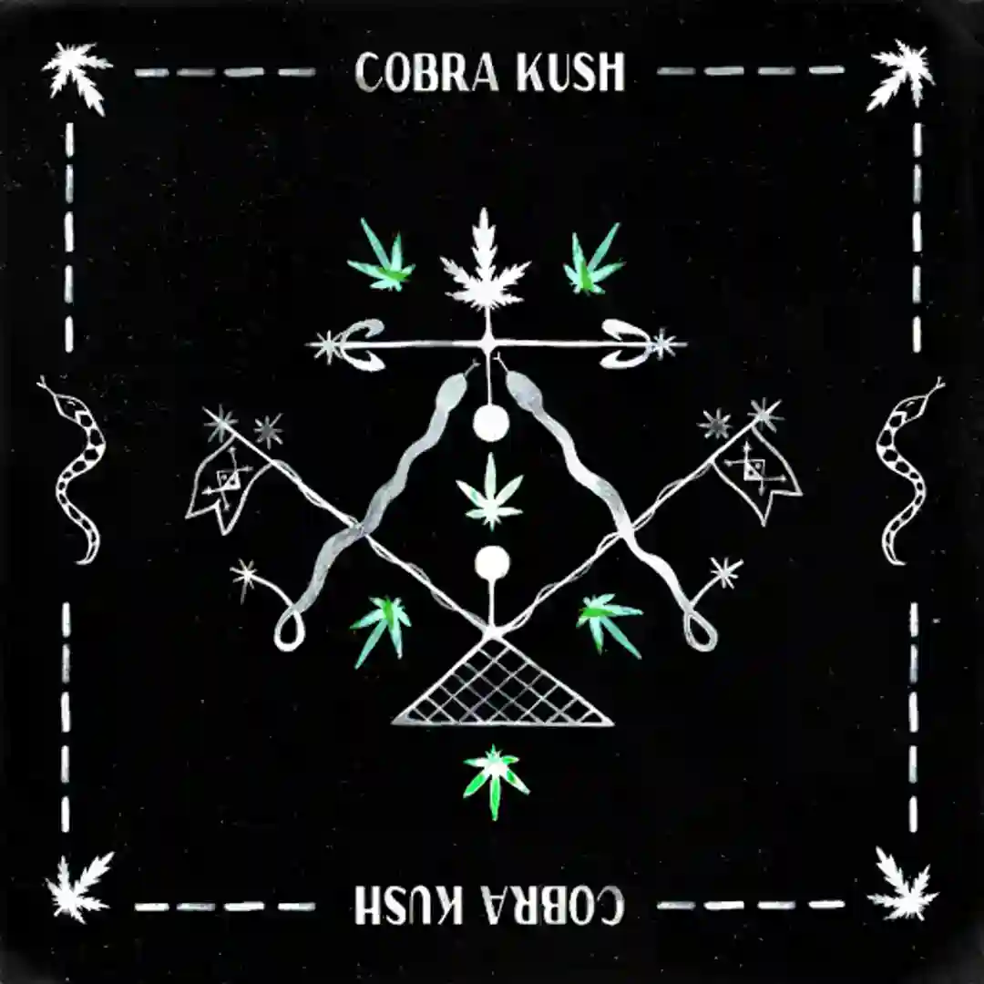 Cobra Kush (Peter Power Remix) (feat. Naduve) cover