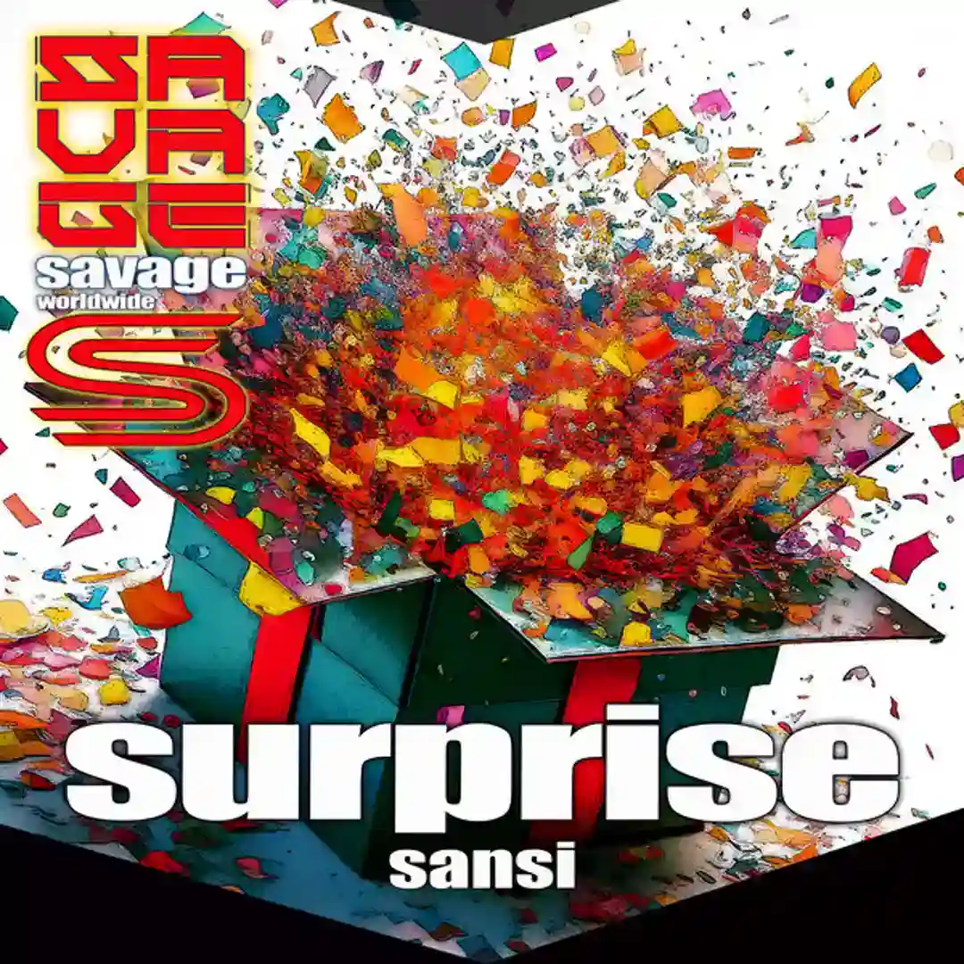 Surprise (Original Mix) cover