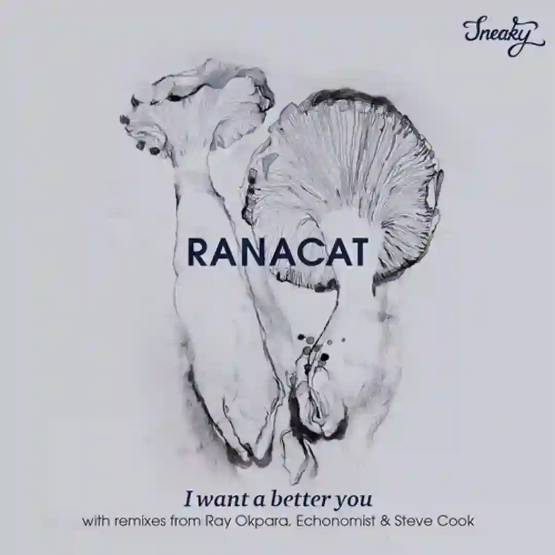 I Want A Better You cover