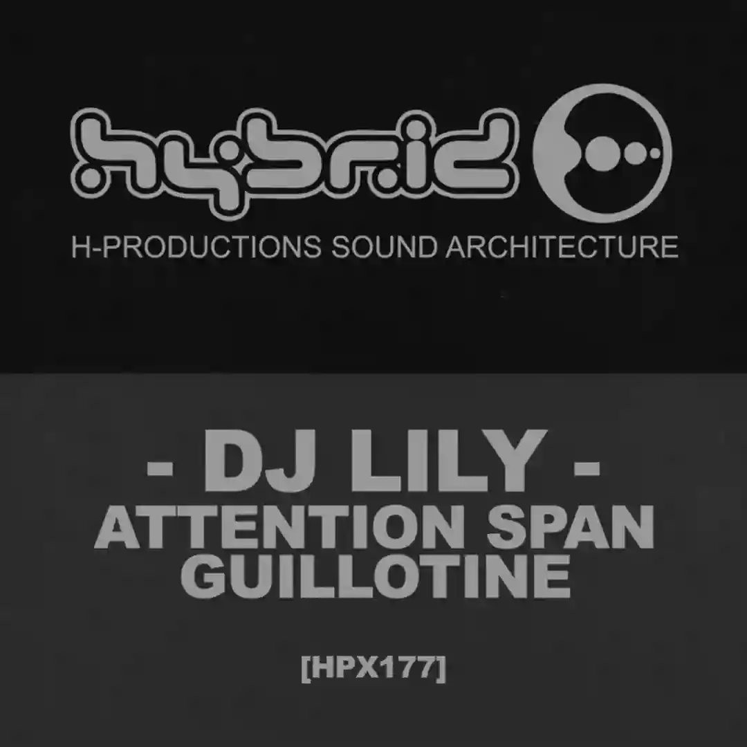 Pay-to-Play Lobotomy (Original Mix) cover