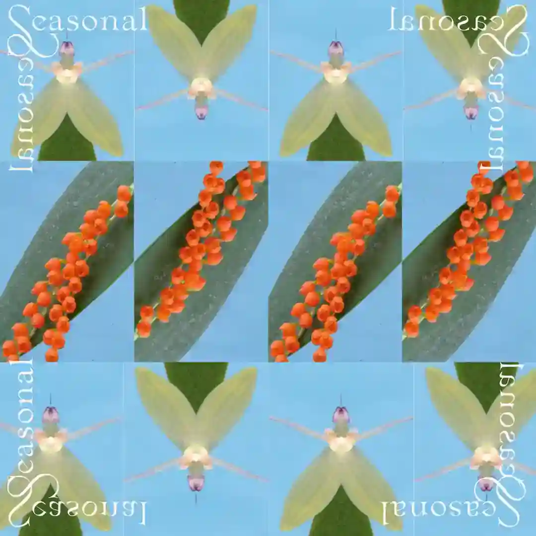 Seasonal cover