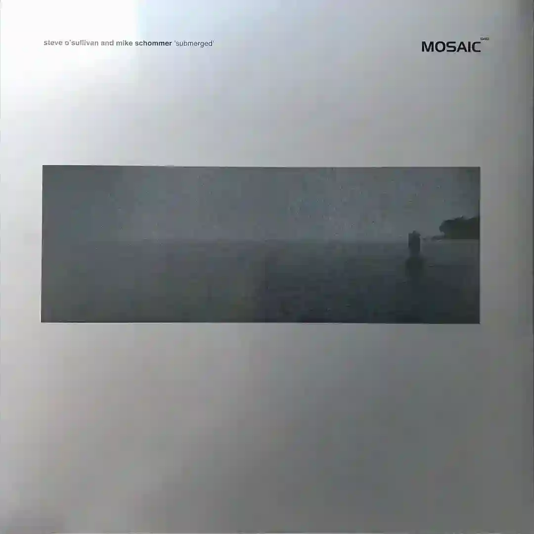 Submerged cover