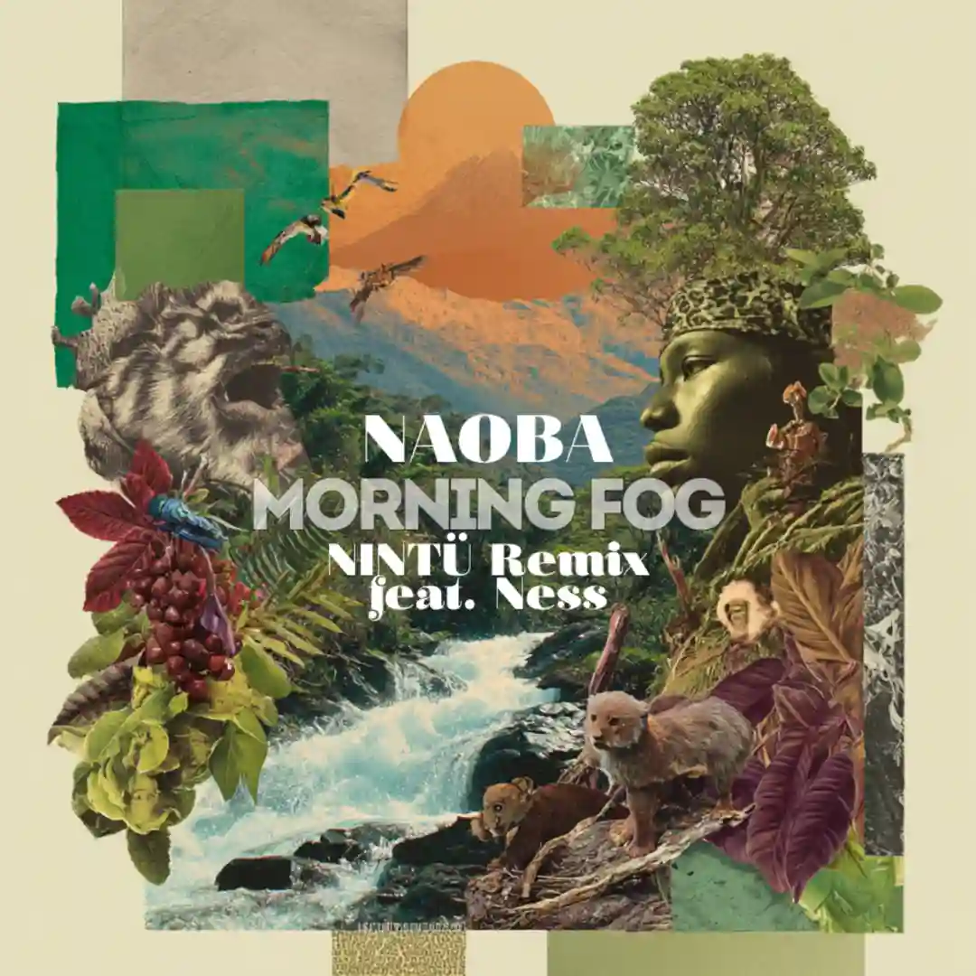 MORNING FOG (Nintu remix - Extended) cover