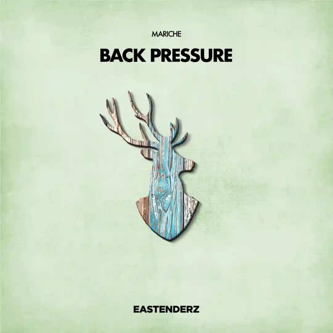 Back Pressure cover