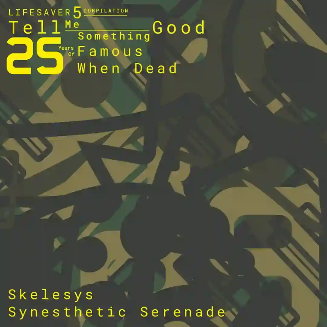Synesthetic Serenade (Original Mix) cover