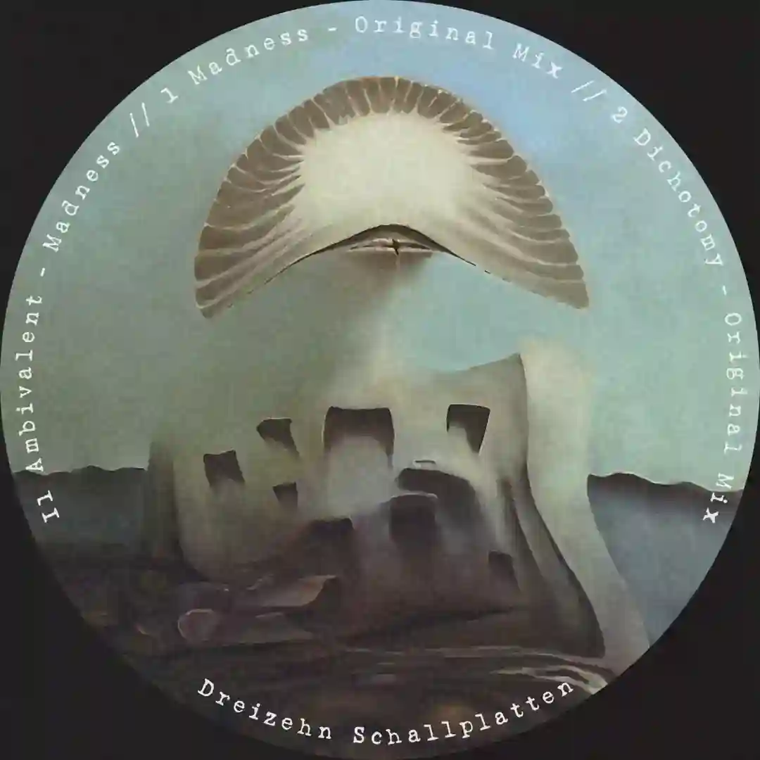 Dichotomy cover