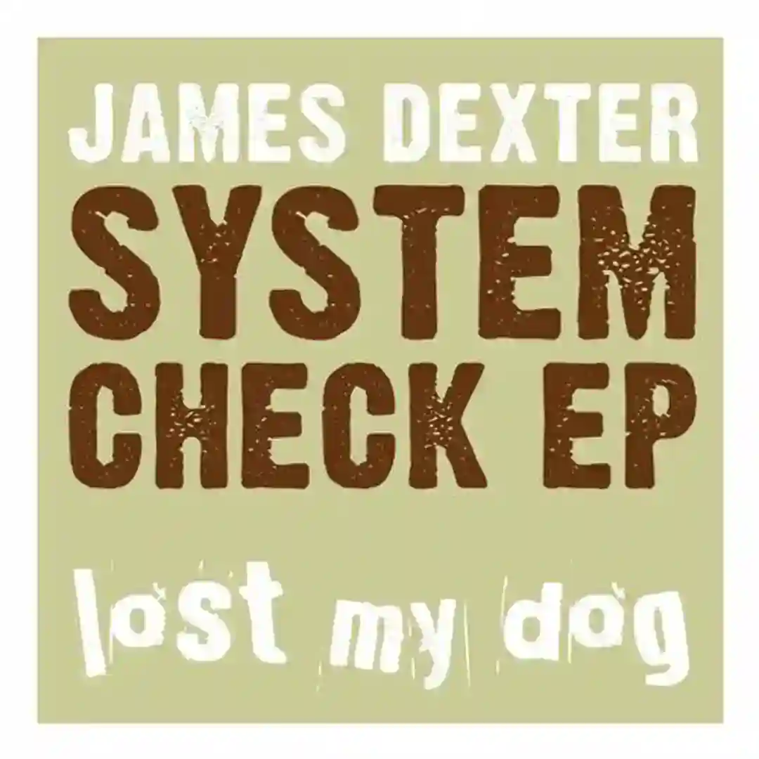System Check (Original Mix) cover