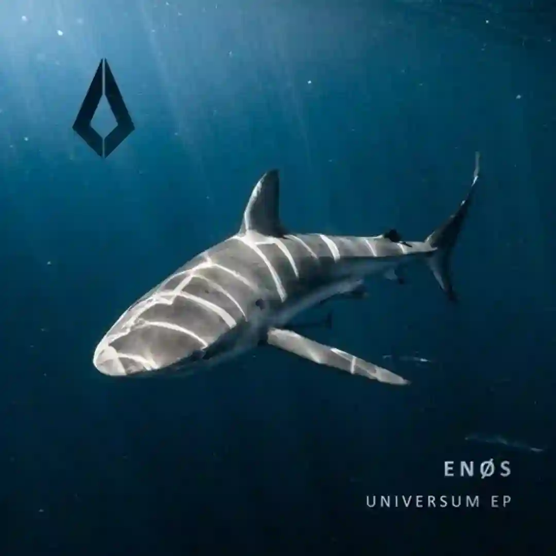 Universum (Extended Mix) cover