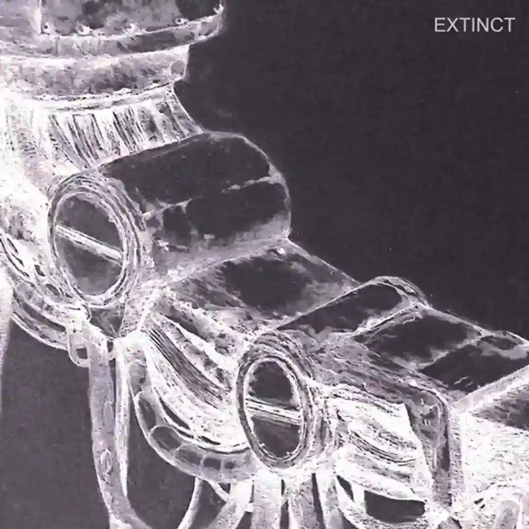 Extinct (Ireen Amnes Remix) cover