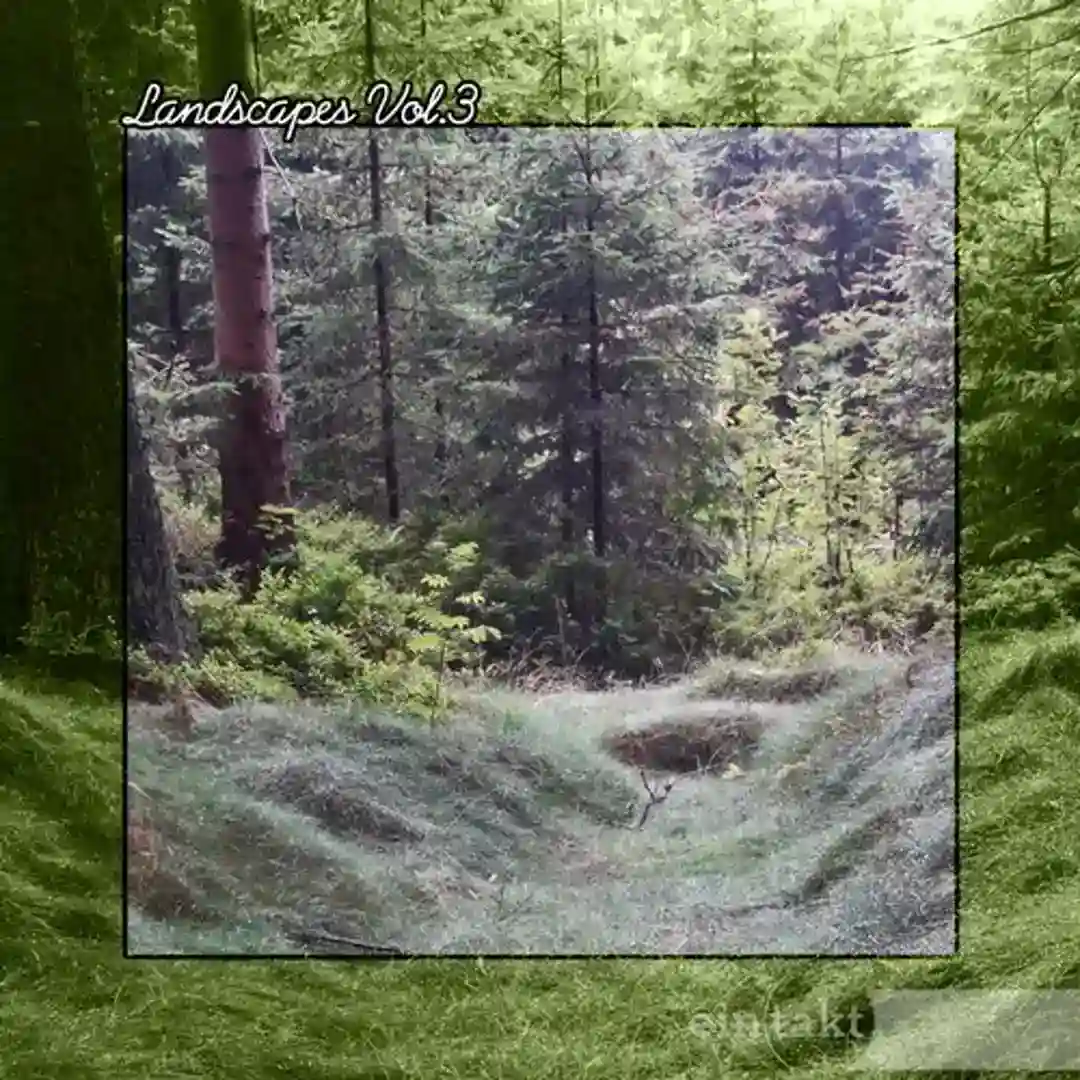 Summer's Daze cover