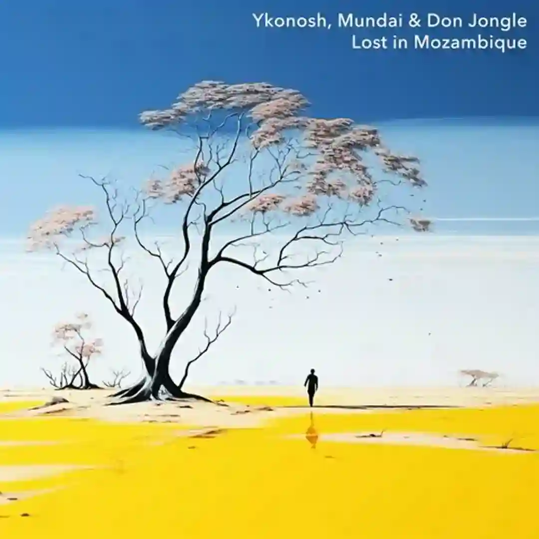 Lost in Mozambique cover